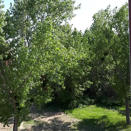 Studio In Vip Park Apartment